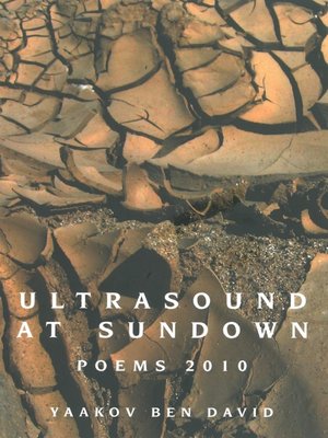 cover image of Ultrasound at Sundown